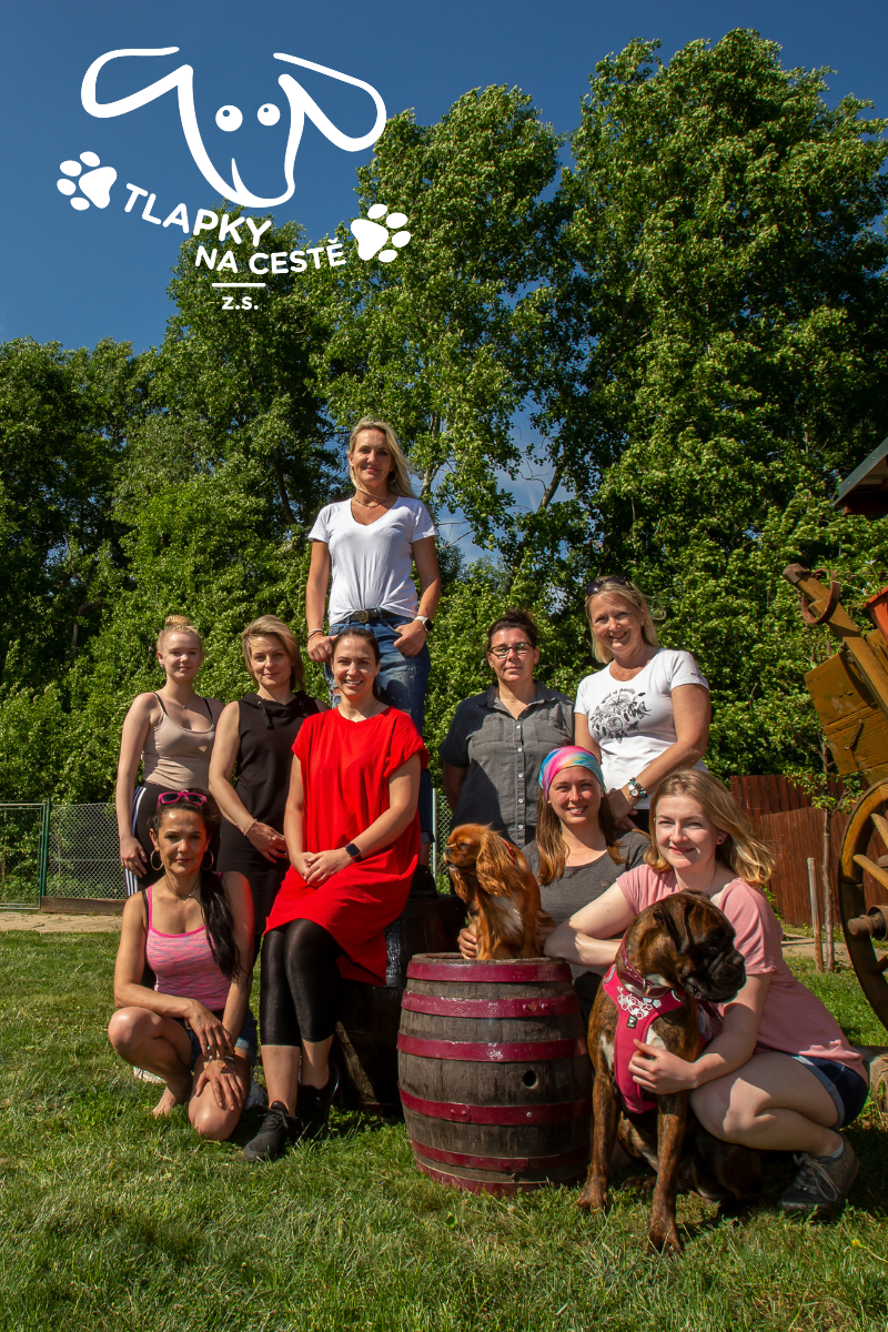 Tlapky na cestě - tým